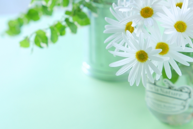 LAVA(ラバ)土山店のホットヨガで痩せた体験談！頻度は？