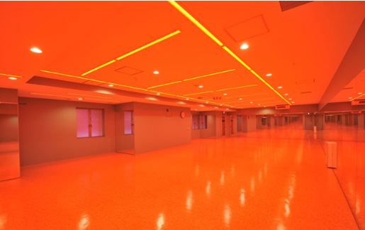 ヨガ教室ルキナとlava ラバ を比較 料金はどっちが安い ヨガマニアのホットヨガ比較ブログ